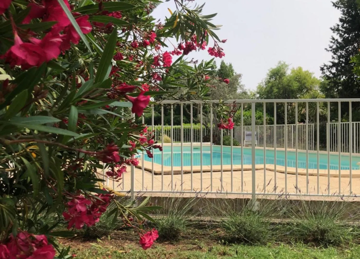 Gite 5 A 7 Personnes En Provence Dans Grand Jardin Avec Piscine Partagee Корнийон-Конфу Дом отдыха